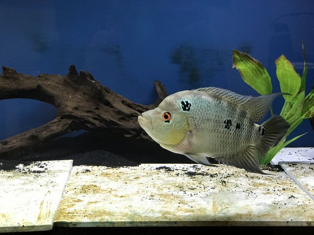 IMG_1794.jpg IMG_1794.jpg