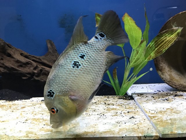 IMG_1798.jpg IMG_1798.jpg