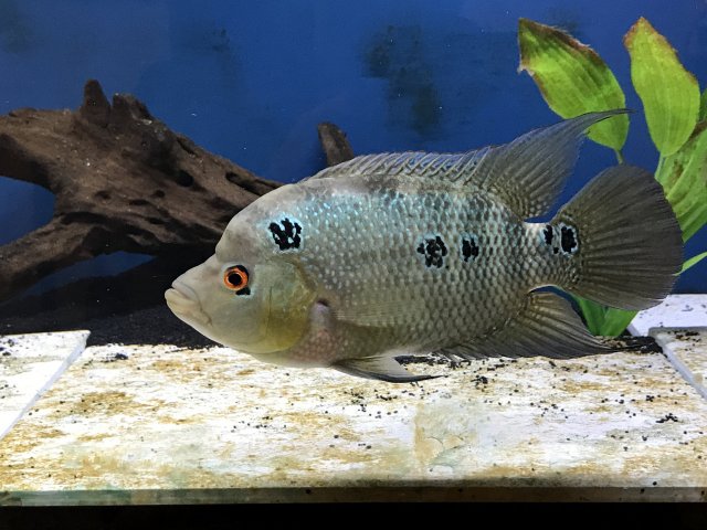 IMG_1800.jpg IMG_1800.jpg