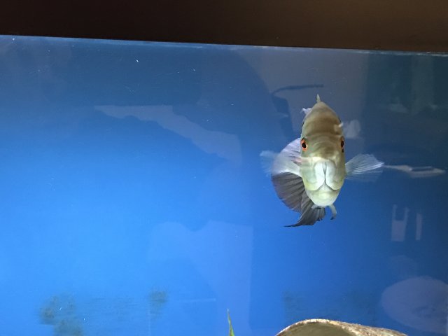 IMG_1786.jpg IMG_1786.jpg