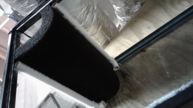 20170827_195312.jpg 20170827_195312.jpg