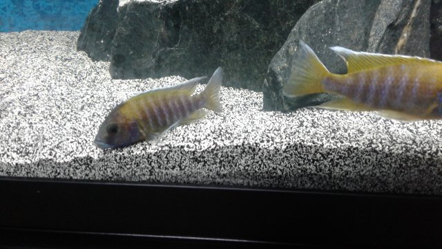 20171013_164203.jpg