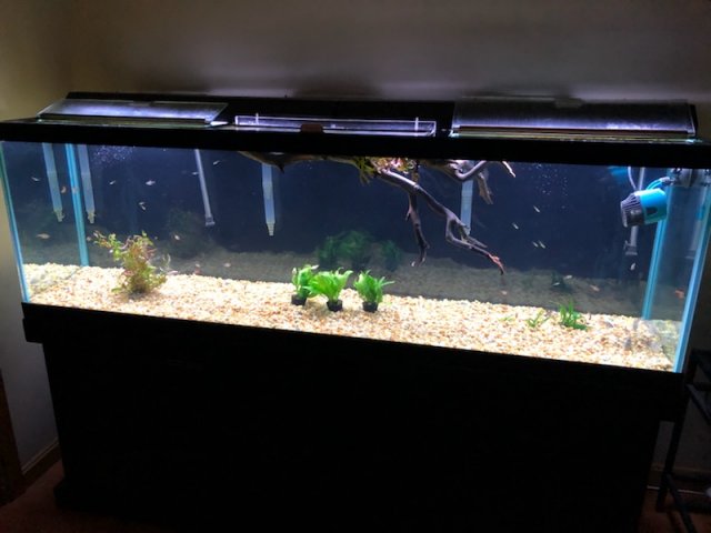 IMG_8386.jpg IMG_8386.jpg