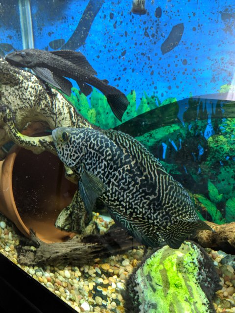 MVIMG_20180512_101646.jpg