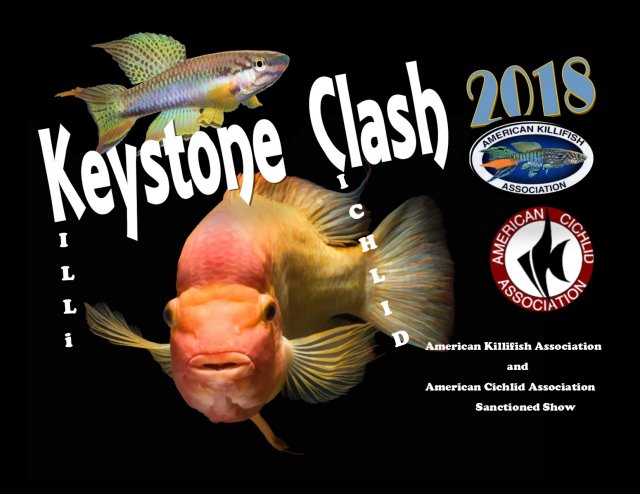 Keystone Clash 2018 show.jpg
