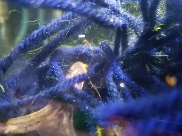 20180601_101913.jpg