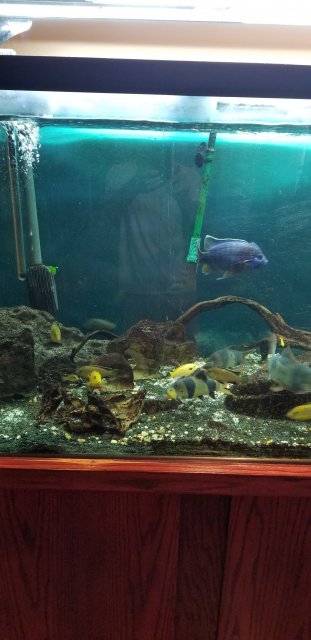 fishtankleak3.jpg