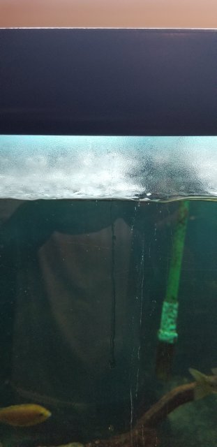 fishtankleak4.jpg