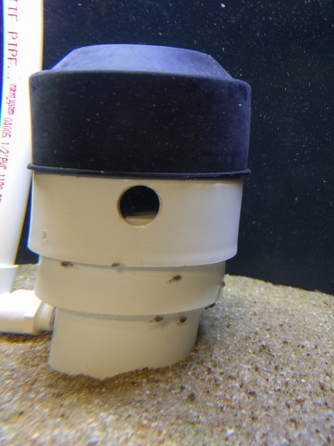 IMG_20180711_204005.jpg