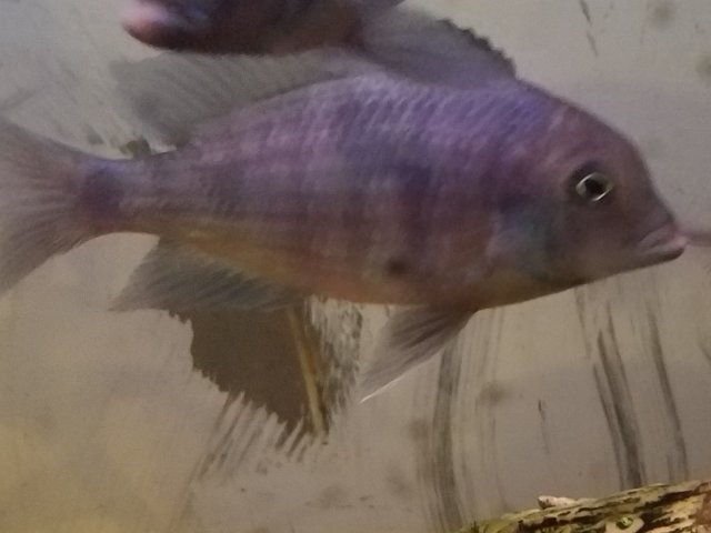 20180712_204357.jpg 20180712_204357.jpg