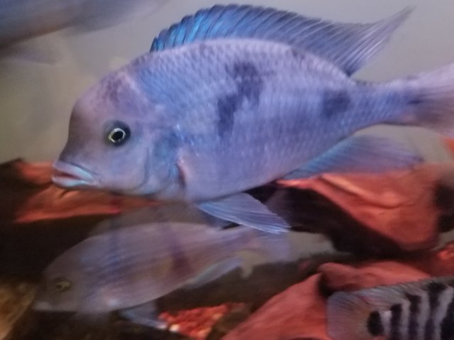 20180712_205133.jpg 20180712_205133.jpg