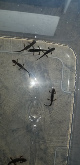 20180728_161611.jpg 20180728_161611.jpg
