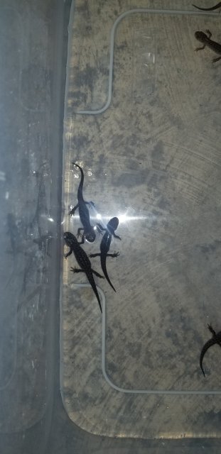 20180728_161605.jpg 20180728_161605.jpg
