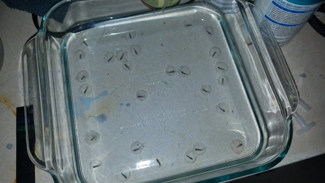 20171206_152005.jpg 20171206_152005.jpg