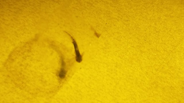 20171207_141143.jpg 20171207_141143.jpg