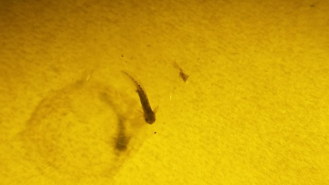 20171207_141147.jpg 20171207_141147.jpg