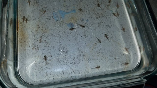 20171217_235449.jpg 20171217_235449.jpg