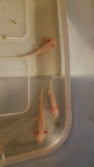 20180804_144757.jpg 20180804_144757.jpg