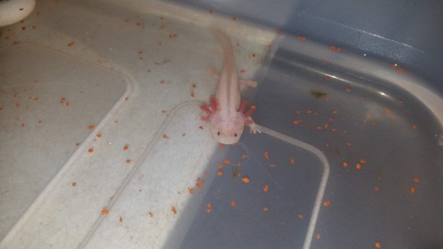 20180804_145348.jpg 20180804_145348.jpg