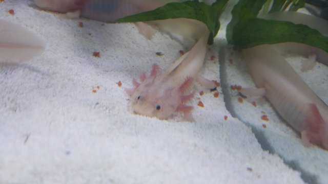 20180804_151519.jpg 20180804_151519.jpg