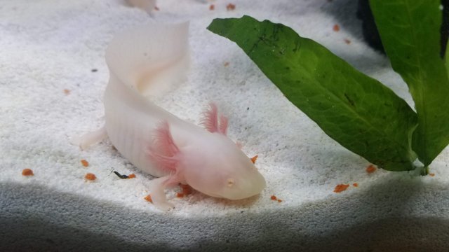 20180804_151850.jpg 20180804_151850.jpg