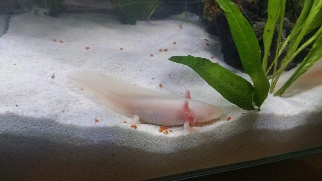20180804_152242.jpg 20180804_152242.jpg