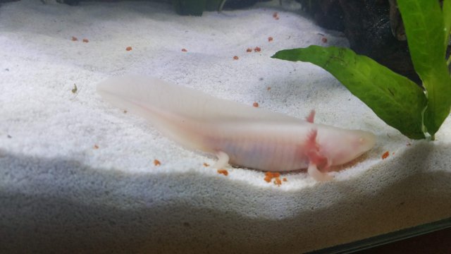 20180804_152244.jpg 20180804_152244.jpg