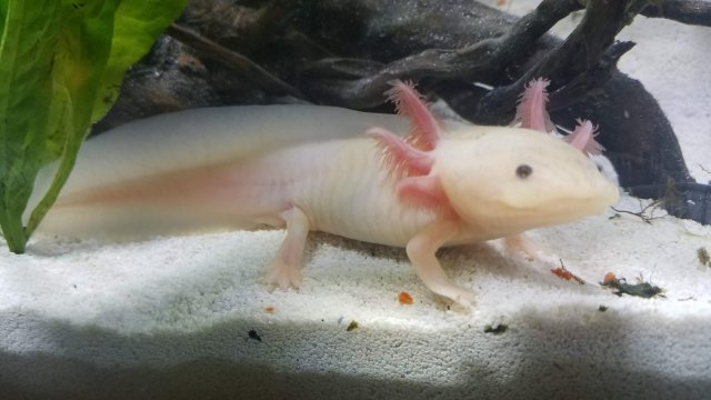 20180804_152258.jpg 20180804_152258.jpg