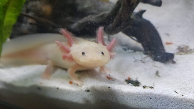 20180804_152302.jpg 20180804_152302.jpg