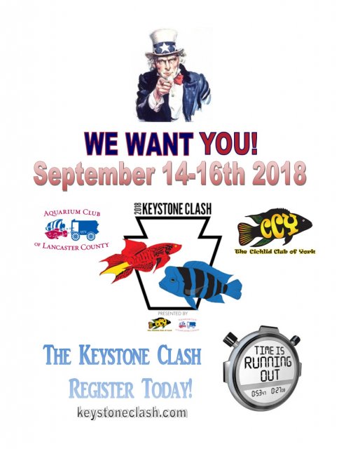 Keystone Clash we want you.jpg