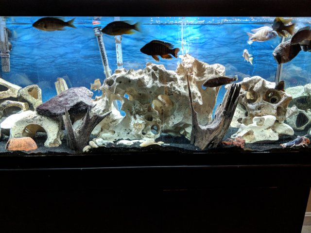 IMG_20180904_200158.jpg