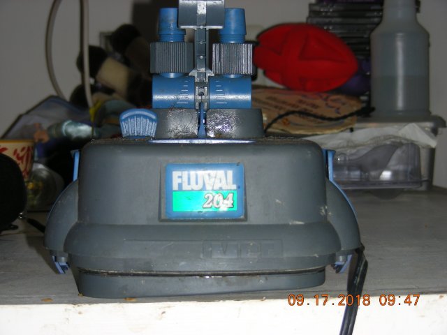 Fluval206_Part_motor.JPG
