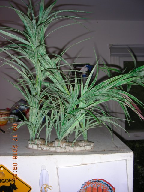 Plant.JPG