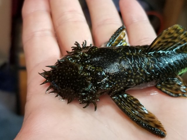 20181001_194906.jpg 20181001_194906.jpg