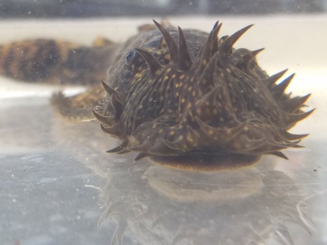 20181001_194228.jpg 20181001_194228.jpg