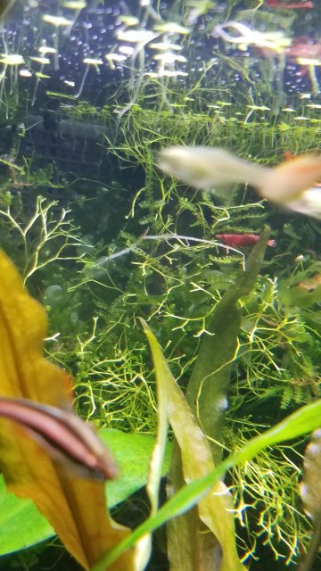 20181215_160239.jpg 20181215_160239.jpg