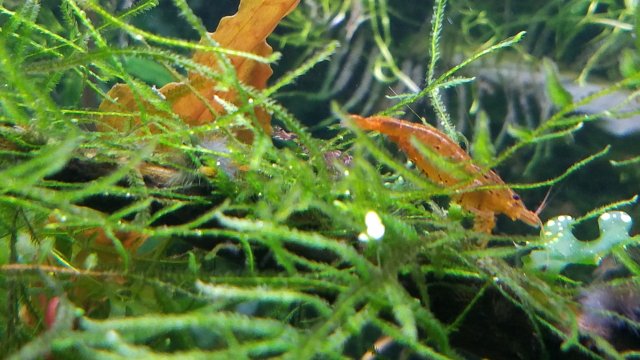 20181215_161133.jpg 20181215_161133.jpg