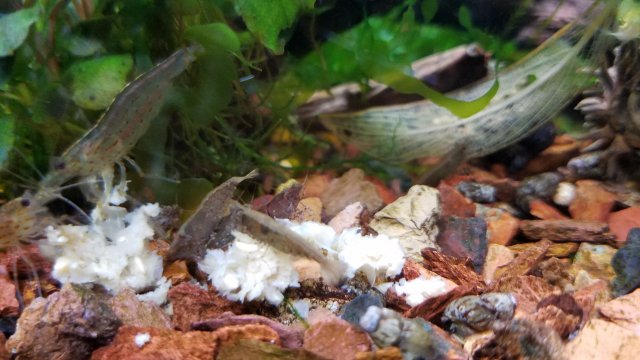 20181215_100149.jpg 20181215_100149.jpg