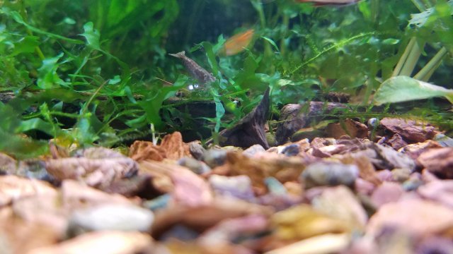 20181215_095642.jpg 20181215_095642.jpg