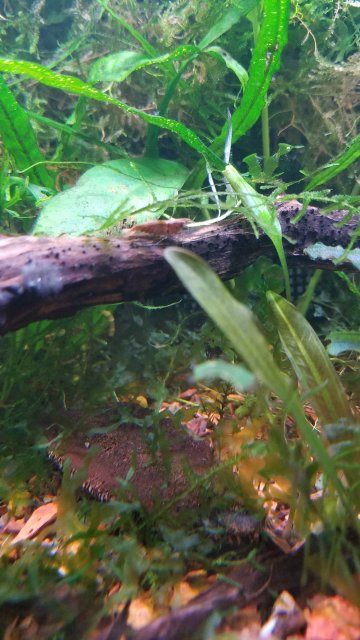 20181215_160550.jpg 20181215_160550.jpg
