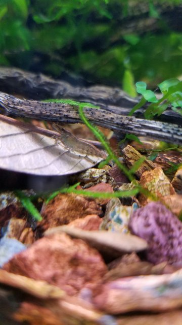 20181215_160445.jpg 20181215_160445.jpg