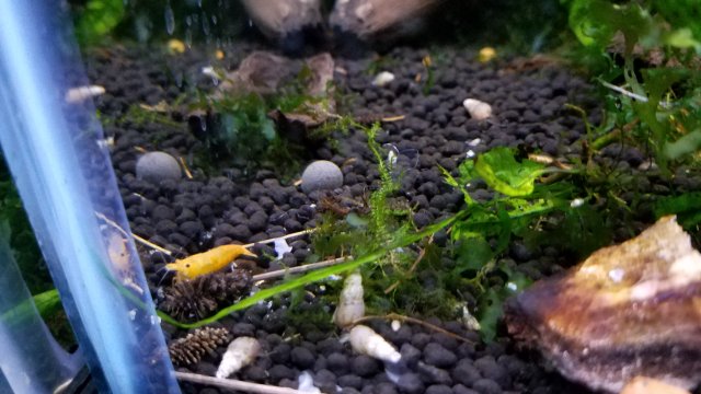 20181215_111525.jpg 20181215_111525.jpg