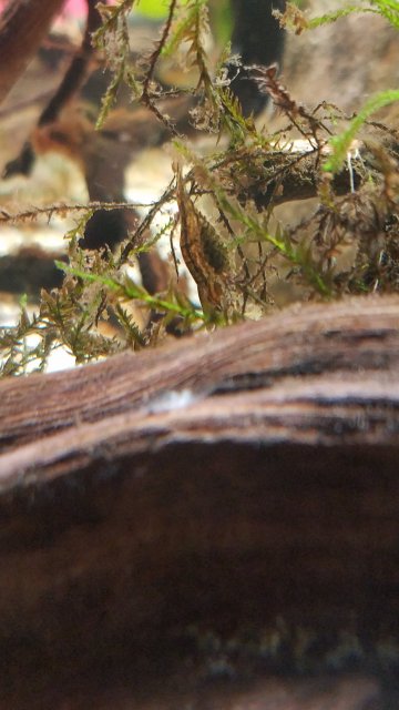 20181213_201225.jpg 20181213_201225.jpg