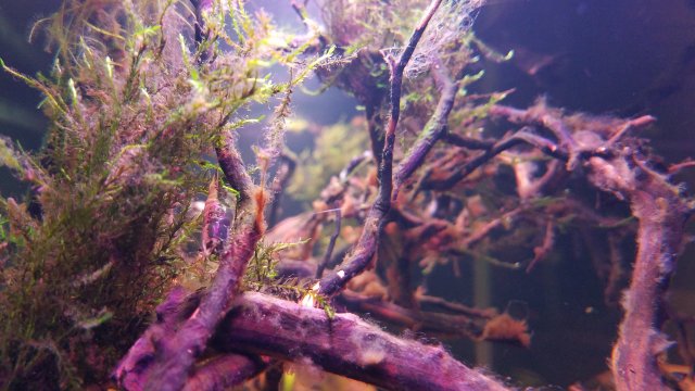 20181215_104231.jpg 20181215_104231.jpg