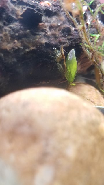 20181213_201454.jpg 20181213_201454.jpg