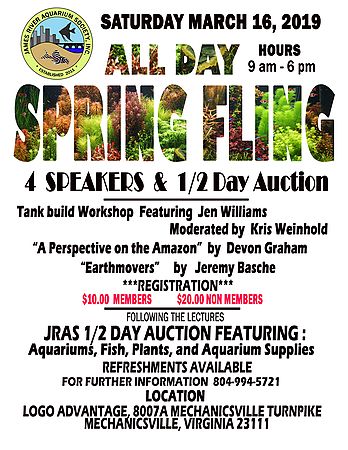 springfling poster2019_std.jpg springfling poster2019_std.jpg
