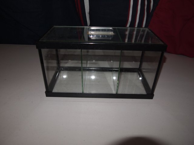 Small tank.JPG
