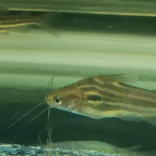 20190601_121058.jpg 20190601_121058.jpg