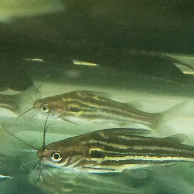 20190601_121123.jpg 20190601_121123.jpg