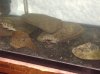 DSC03262.jpg